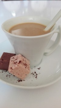 نسکافه رژیمی