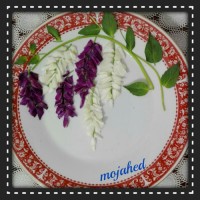 دیزاین سبزیجات