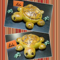 نان لاکپشتی