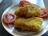 شنسیل ماهی