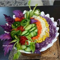 سالاد فصل من