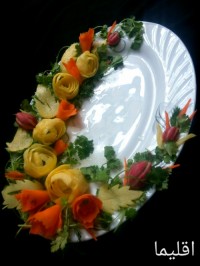 دورچین ماهی