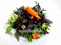 طوطی باهویج