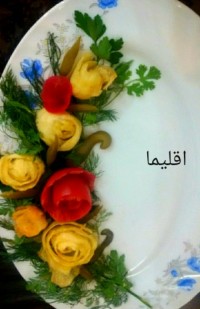 دورچین غذا