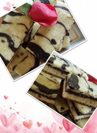 تی تاب خونگی