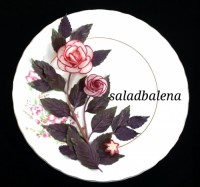 دورچین با تربچه