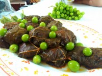 دلمہ برگ مو