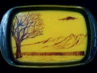 تزیین کاسترد