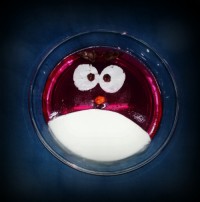 ژله انگری برد