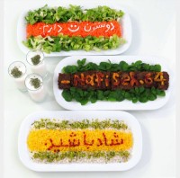 کباب تابه ای