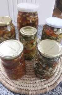 انواع ترشی