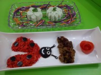 چلو گوشت و ماست خیار قالبی