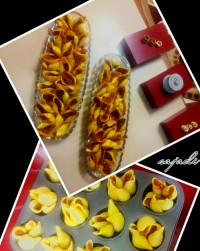 پاستا صدفی شکم پر