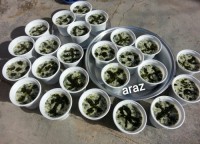 آش ماست (گلستان)