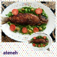 ماهی قزل آلا شکم پر