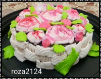 خامه فرم گرفته