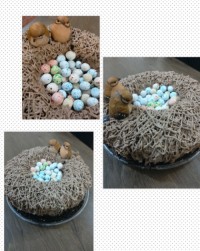 کیک لونه پرنده