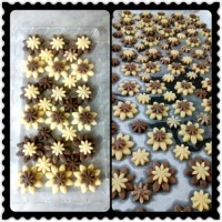 بیسکویت شیشه ای