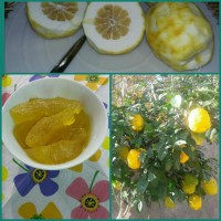 مربای بالنگ