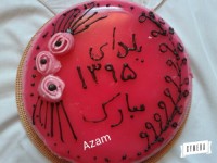 روکش کردن کیک با ژله بستنی