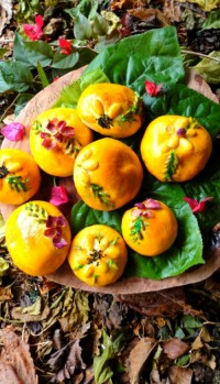 کلوچه مغزدار