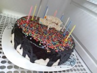 کیک شیفون با گاناش