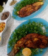 ماهی قزل الا