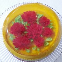 ژله تزریقی2