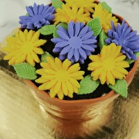 کار با فوندانت