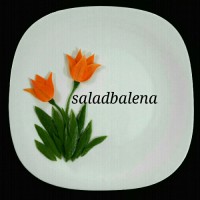 دورچین با هویج وخیار