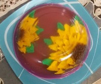 ژله ی تزریقی