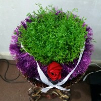 سبزه عید من،اولین عید من باشوهرم هستش