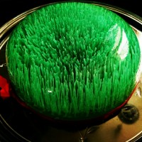 ژله سبزه عید