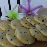 بسکوییت شکلات چیپسی