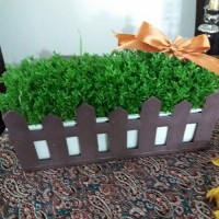 سبزه عدس ۱۳۹۶