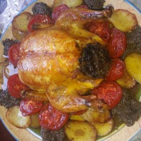 مرغ بریون شکم پر