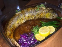 ماهی سفید شکم پر