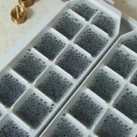 یخ تخم شربتی