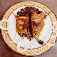 بلدرچین شکم پر