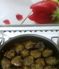 دلمه با گوشت چرخ کرده وبرنج ولپه و..... جاتون خالی عزیزان خیلی خوشمزه شده بود.