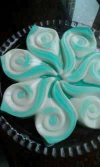 پاناکوتا وژله