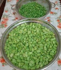 بلانچ کردن سبزیجات