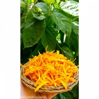 خلال پوست پرتقال