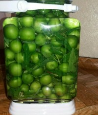 ترشی گوجه سبز عزیز