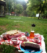 یک صبحانه عالی در طبیعت و کنار دوستان