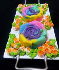 پاناکوتا رنگی رنگی