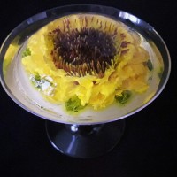 ژله افتابگردون