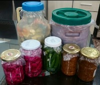 انواع ترشیجات خانگی