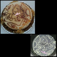 ته دیگ طرحدار