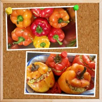 دلمه فلفل رنگی